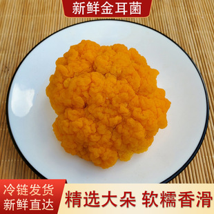 ���r����� ����خa�����X����Ұ���y��500g���ٳ��zܛ���]