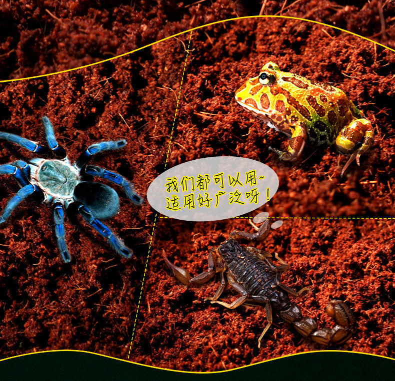 281b2956-df61-4ab3-86db-a2e991605ff3.jpe