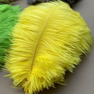 �r�Bë��ɫ��ë15-20cm�F؛���l��c̨���b���̨diy���Ϸ��b�o��