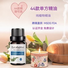 羳η͸߼õ䙎̴ϞT޹ֹ