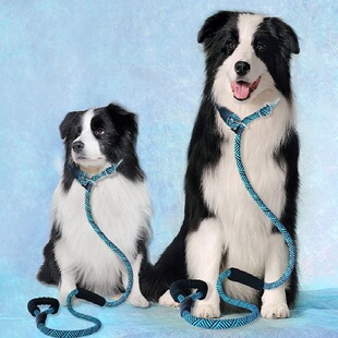 ���������KС�д���Ȯ�����ޏ�Ӗ��P�K߅����ë�»���Ȯ�Ȧ���l