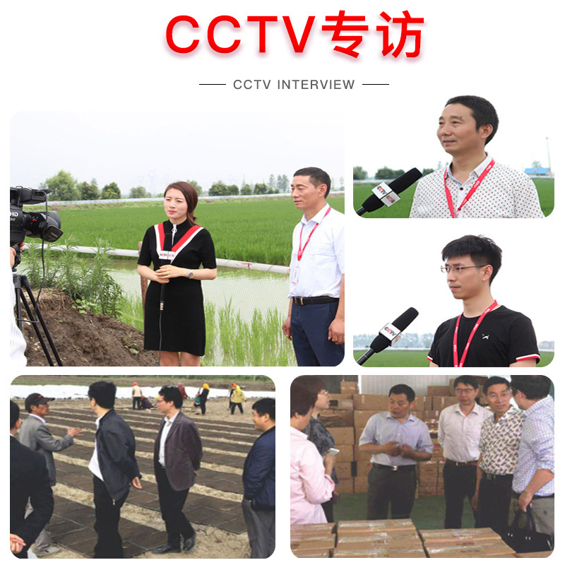 CCTV专访