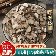 石菖蒲500g克 新货晒干非水菖蒲石菖蒲 菖蒲野山石蜈蚣真货好