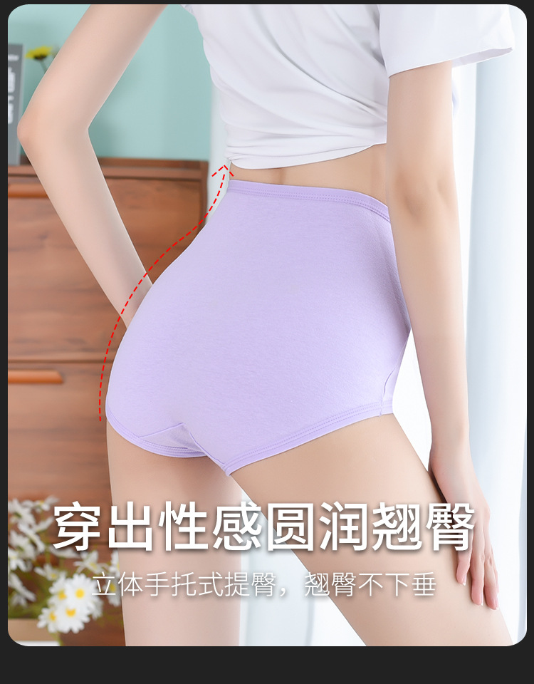 高腰内裤1_06.jpg