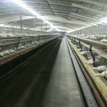 �Bֳled�􎧹��̹��������������b�͏d��픑����ˮ����������