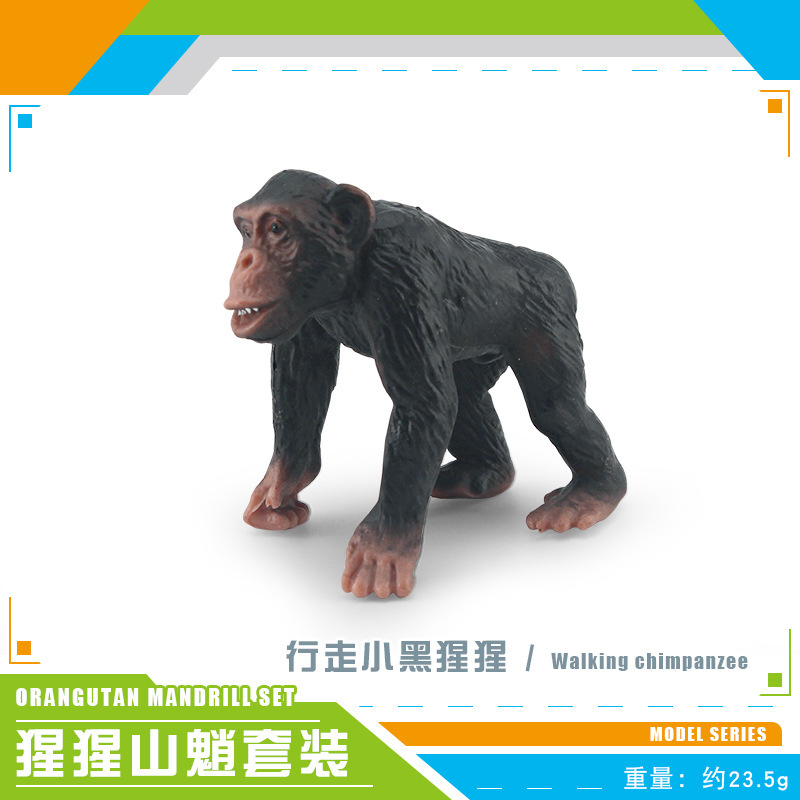 PL127-178 camina chimpancés 23,5G