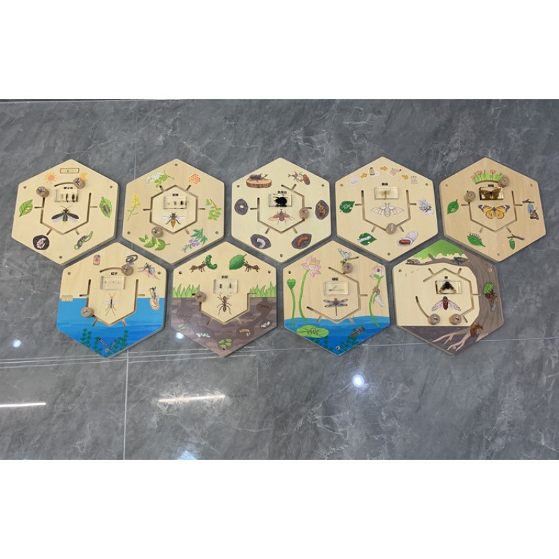 Доска для популярной научной игры с насекомыми (с образцом)