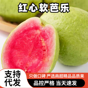 һ�����l�V�|���r�t�İŘ�ܛ��ˮ��5���b����pʳ�خa�t�ķ�ʯ��