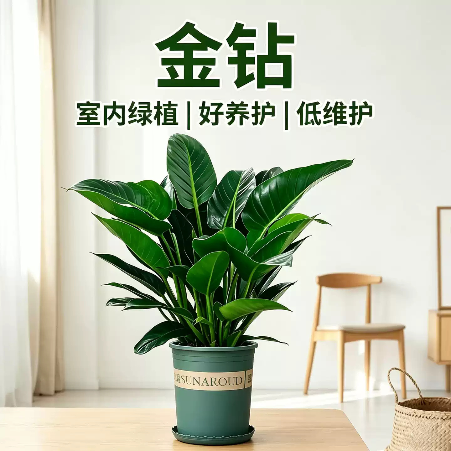 商品图