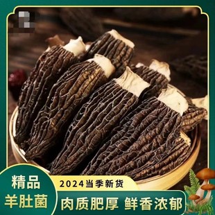 ����Ǿ� Ұ�������Ҝ���؛ʳ����Ͼ��Ӿ������ϰ�8g���N���l
