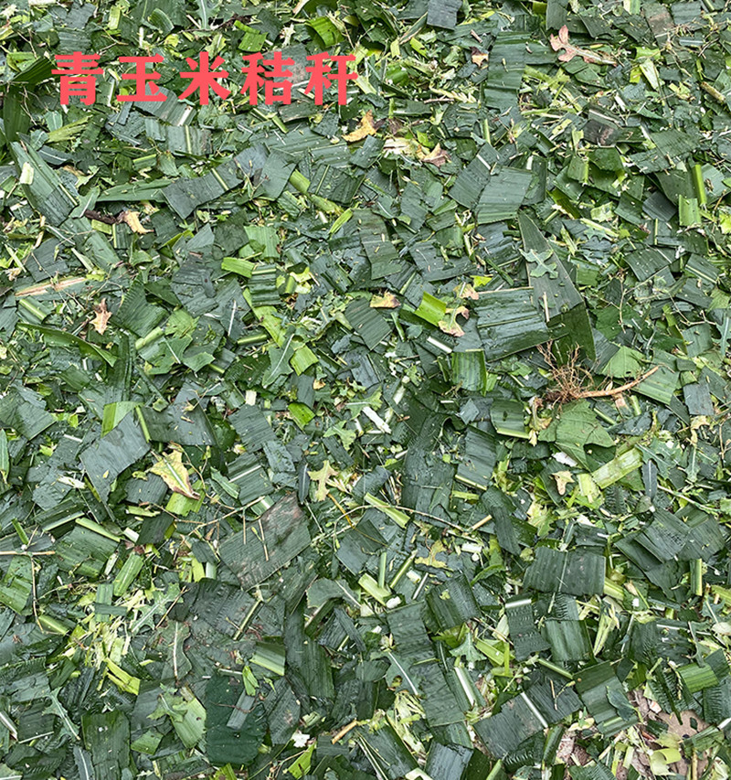 ΢ňDƬ_20210323085424_