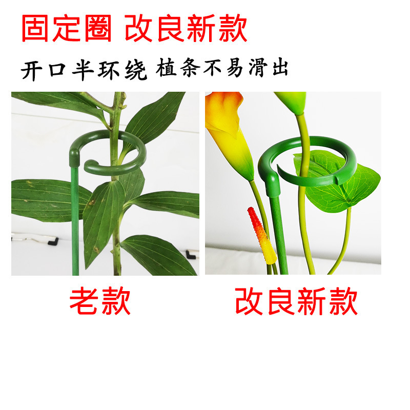 花架子植物園藝固定架室外花卉造型支撐杆蝴蝶蘭爬藤防倒伏花支架