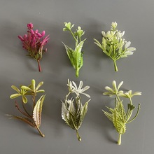 ������滨��ֲ��Gֲ����辰�b�ˮ�ݰ��Ʒdiy�S�����l����