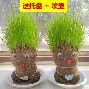 ���^��������ֲ���ˮ��Gֲ�W�t�k���[������С�辰��˼������