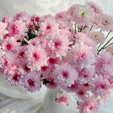 |h@ˇmл~߼yՐ֮㙉ķ۶rջ