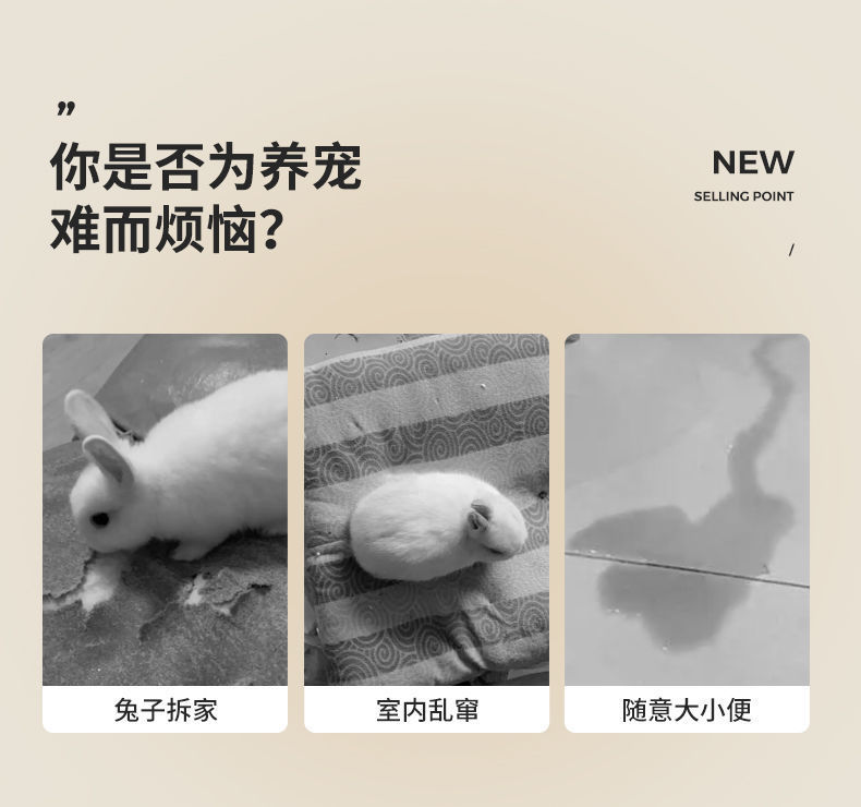 f53d4f6a-fde3-489c-b944-9fb1634b2a07.jpe