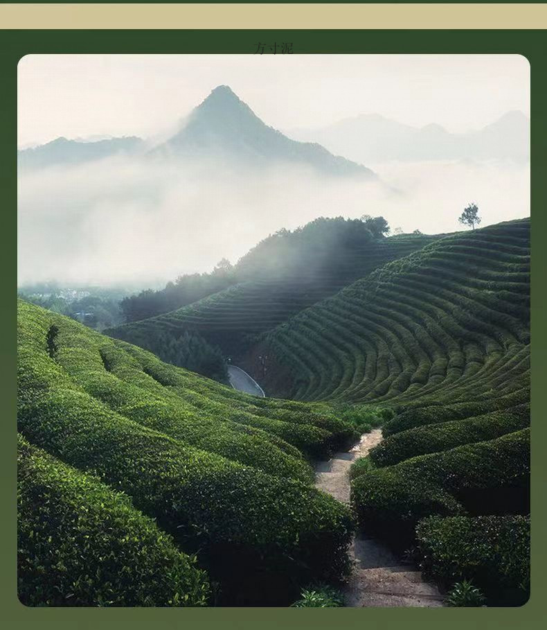 ea67cb2e-cbbe-488d-b0d7-1133daf4989c.jpe