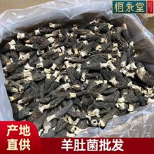 ����ȫҎ����Ǿ�250g�b�����������^��a�����l���lԴ�^ֱ��