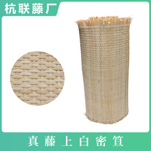 �ϰ�����ӡ���پ�������Ƥ������ʮ��ϯ���T�Ҿ��o��ϯ��ʽ��ˇ