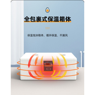 Incubator Small Water Bed Rutin Chicken Incubator Household Automatic Incubator Intelligent Small Chicken Duck Goose Incubator