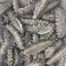 大连野生盐渍海参刺参送礼高品质拉缸盐500g  6-8个头批发