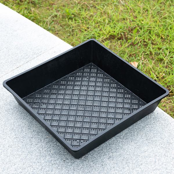 Greening planting pot container plate Buddha armor planting plate…