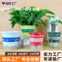 双层加厚吸水定制加仑盆