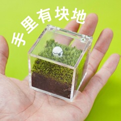 デスクトップコケ微景観オフィスアルバイト人牛馬創意緑植置物diyプレゼント卒業シーズンプレゼント