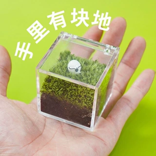 桌面苔藓微景观办公室打工人牛马创意绿植摆件diy礼物毕业季礼物