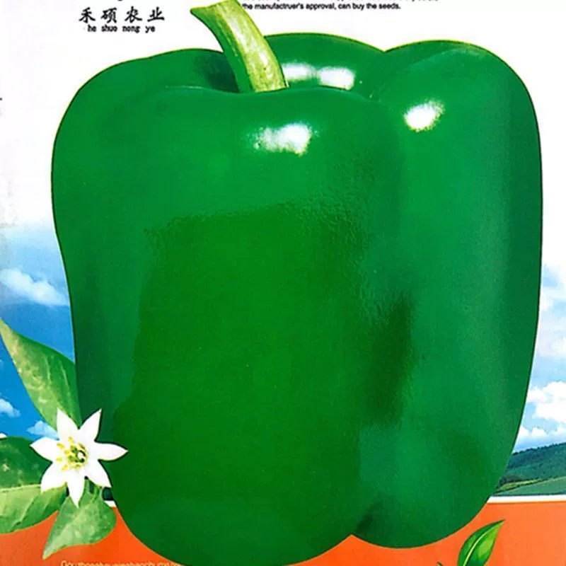 Экстра большие толстые мясо сладкий перец Семена высокая урожайность Сладкий Перец Болгарский Перец Весна Ранняя зрелость высокая урожайность перец сельскохозяйственные овощи балкон