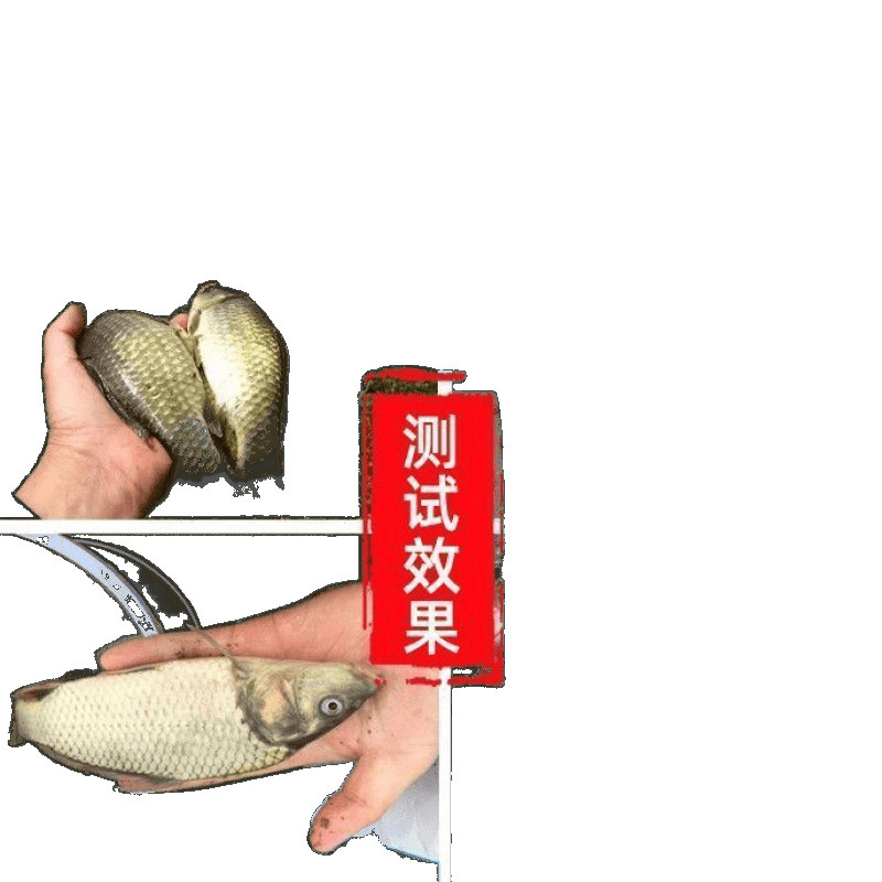 ＆レッドワーム ノミ釣り 酒米 ノミ巣材 野釣り餌 餌 魚の餌 フナ 鯉 釣具 ライスボール釣り|undefined