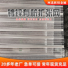 免拆镀锌有筋扩张网金属拉伸网墙体抹灰灌浆模版网建筑轻钢别墅