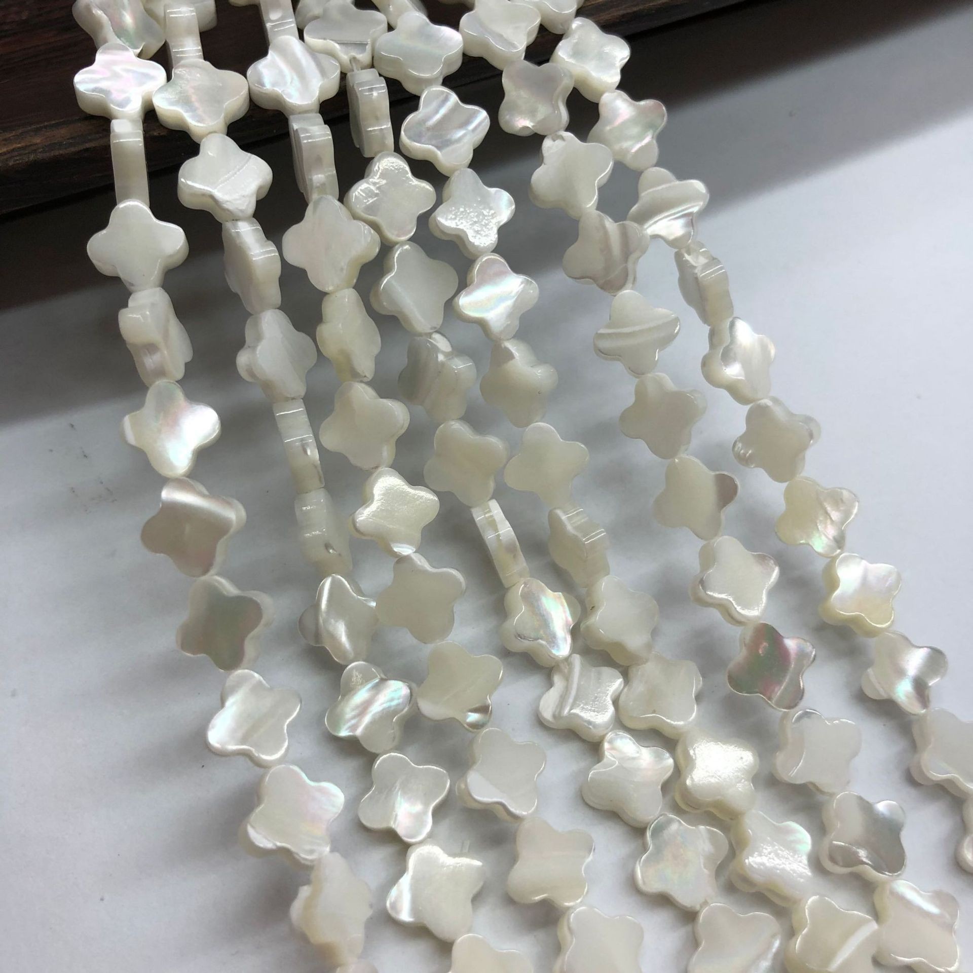 马蹄螺四角形-白色