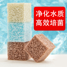 ~^VݞVմɭh{ʯӢ^V~V