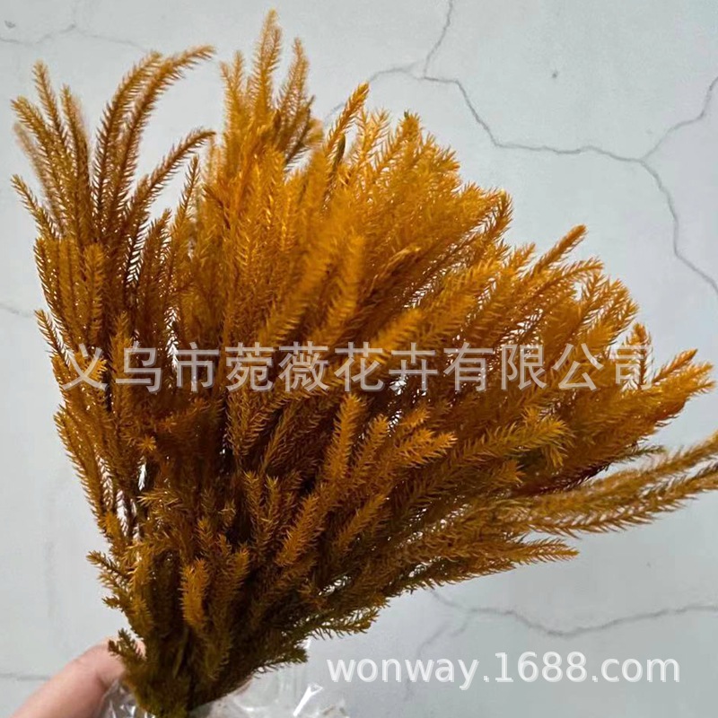 微信图片_20210118233315