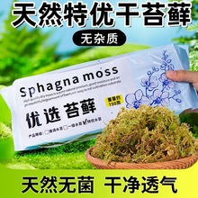 ���|�Ƀ���ˮ̦��̦�m��ʯ���Nֲ�������߉|��ˮ̦�\�����m����