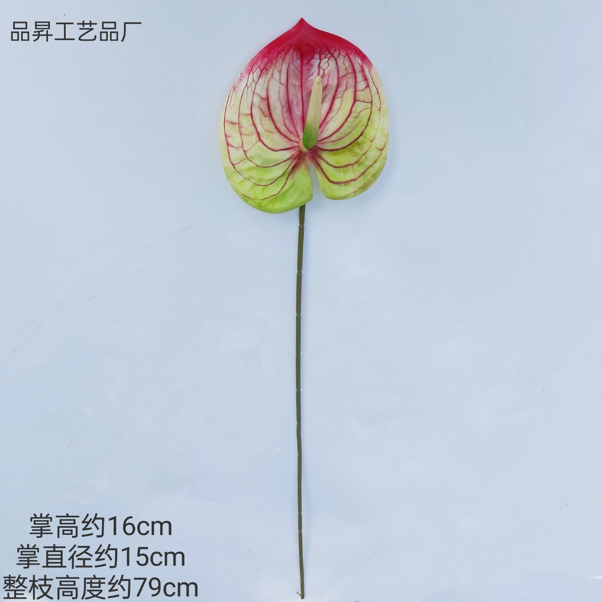 58d938536e50e0a569b82e9750d106