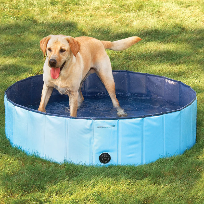Foldable Large Dog Bathtub Pet Pool Golden Retriever Swimming Pool Bathtub Cat Bathtub Baby Bathtub Foldable Large Dog Bathtub Pet Pool Golden Retriever Swimming Pool Bathtub Cat Bathtub Baby Bathtub