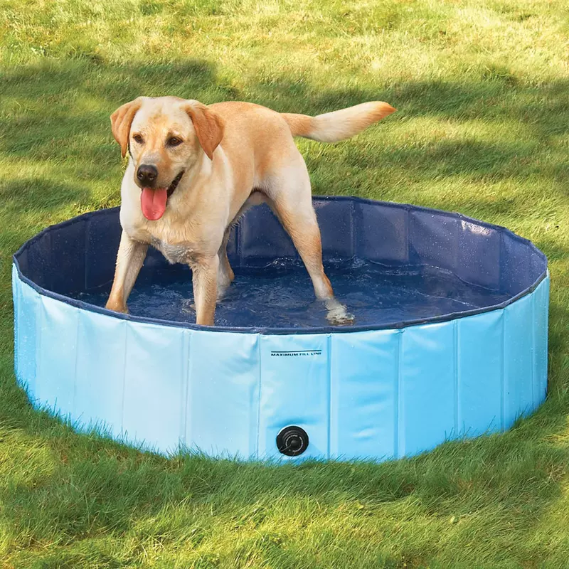 Foldable Pet Pool, Portable PVC or Composite Lining, Anti-Slip Bottom, Multiple Sizes