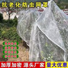 ������x�W��ɣ�ؙ����{ݮ��÷���˘���B����ω�W���ӷN�˾W��