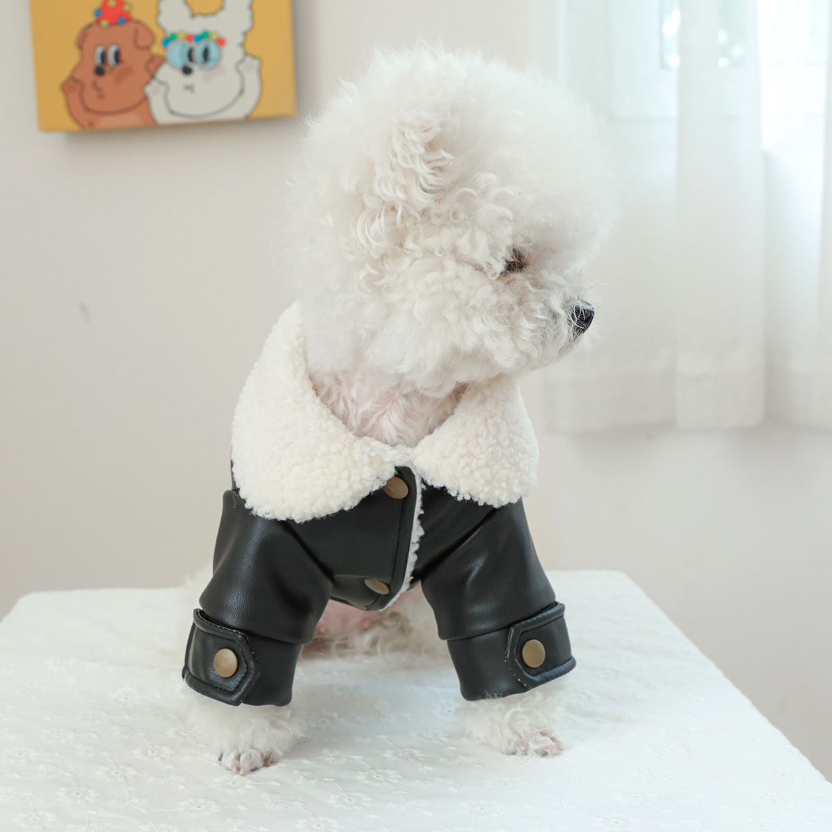 PETCIRCLE 강아지 고양이 겨울 기모 보온 패딩 솜옷 대형 무스탕 애완동물 옷