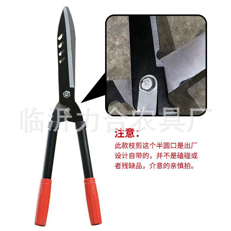 详情-01.jpg?x-oss-process=image/format,png