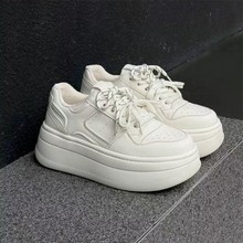 ɸƤСЬŮ2025¿ﶬӽqeٴ\ӰЬ