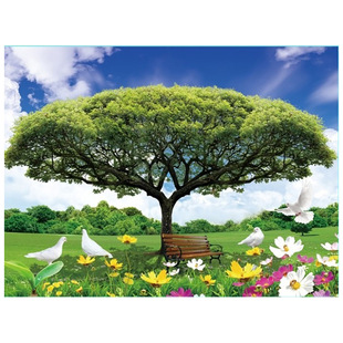 �S��ֱ�N���F؛PET���S�������w��3D/5D��о�b�/�������w��/