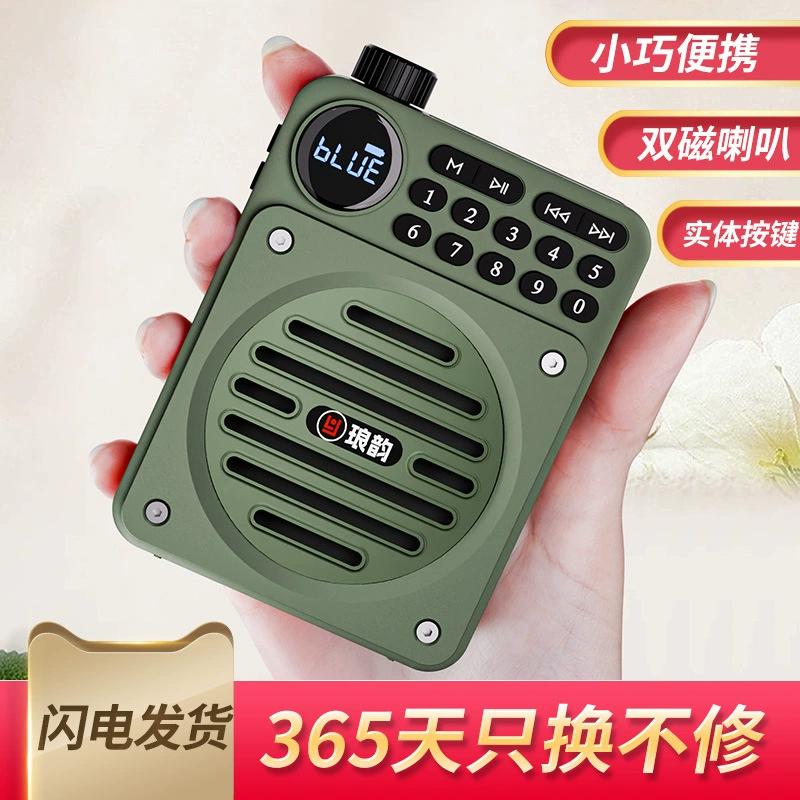 Портативный кассетный плеер Langyun C67 с радио, кард-ридером, усилителем Little Bee и Bluetooth-динамиком