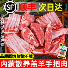 �������r�F����ץ��������ϐ��5��Ğ�����½����ɸ�ɽ��С��