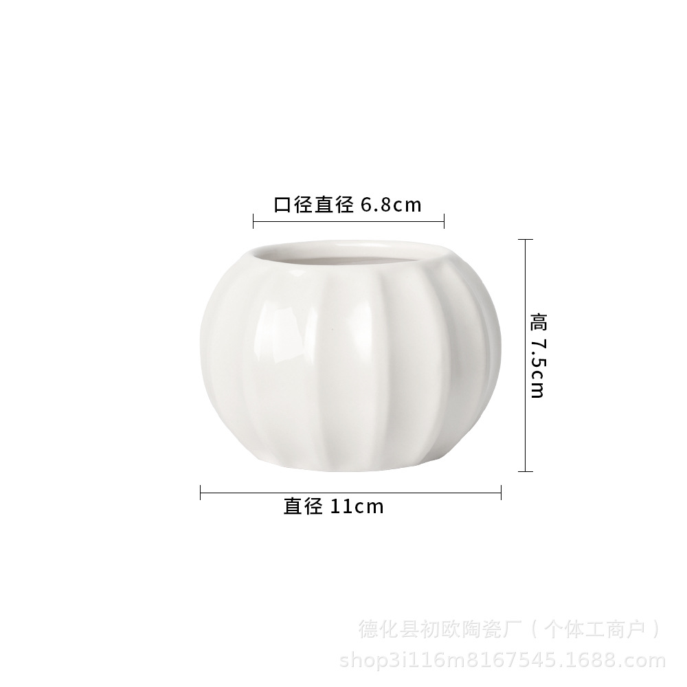 QX-1175 호박 중형