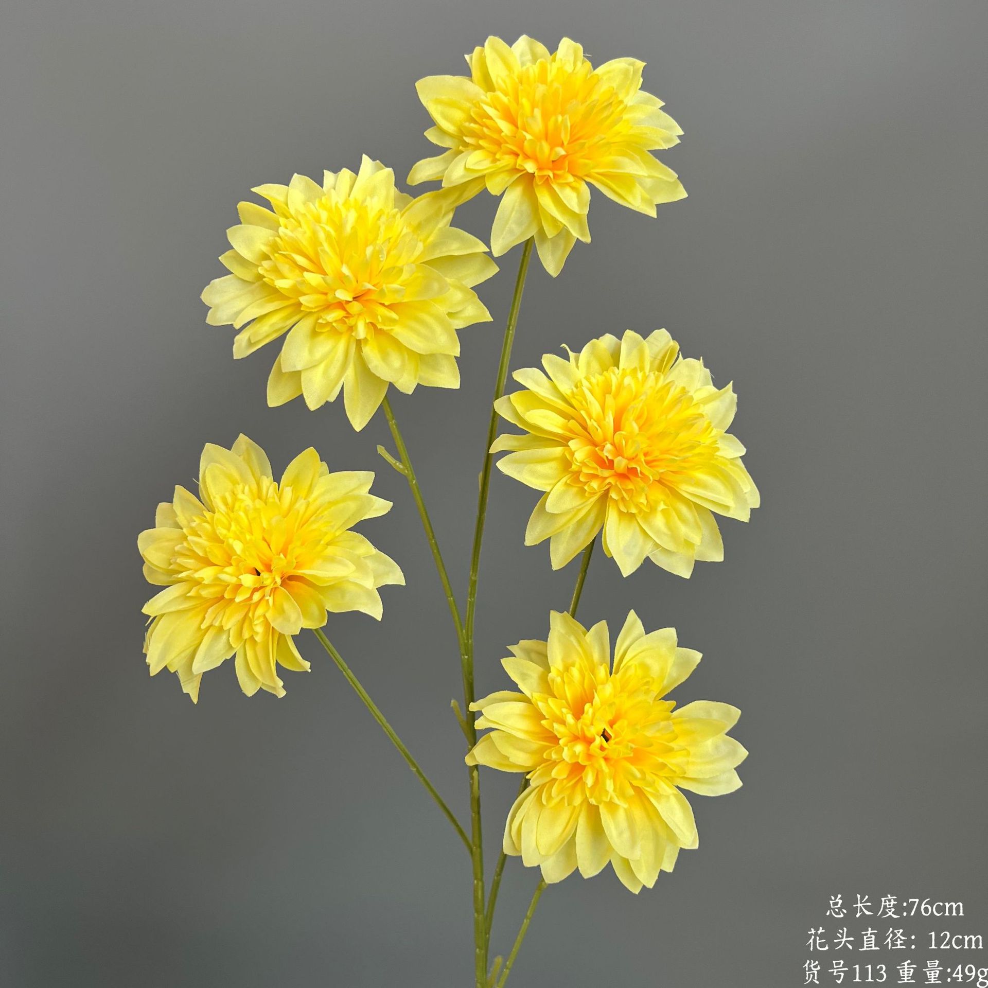 상품 번호 113 - 오두 미니 릴리