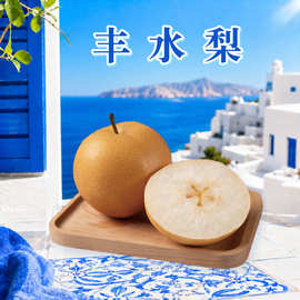 山东丰水梨 批发代发3/5/9斤圆润皮薄汁多清甜果园直供新鲜水果