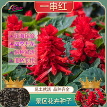 һ����������һ���t���ѱ��̼t���N�ӈ@�־��^�G���r������l